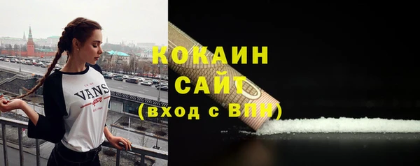 гашик Коряжма