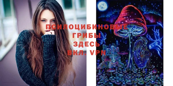 гашик Коряжма