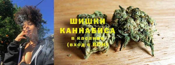 гашик Коряжма